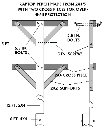 Raptor Perch Design