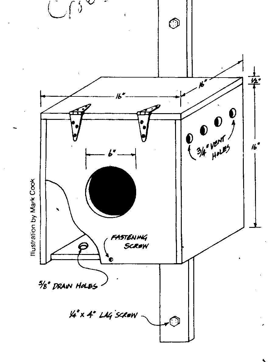 Pole Kit for Barn Owl Box